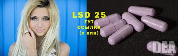 крисы Баксан
