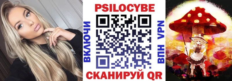 Псилоцибиновые грибы Psilocybine cubensis  Купить где  Амурск 